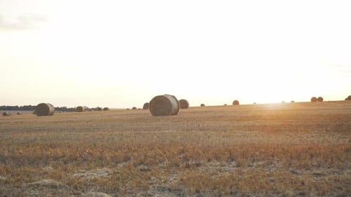 Beautiful Sunset at Yellow Haystack Field in Summer Day