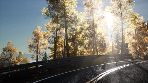 Camera Movement By Road In The Forest And The Sun Shining