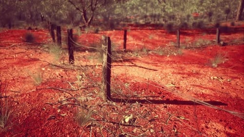 Rural Farm Boundary Fencing in Poor Condition and Long Dead Dry Grass