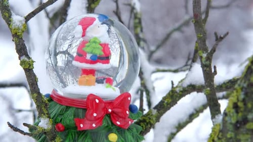 Christmas Globe Toy
