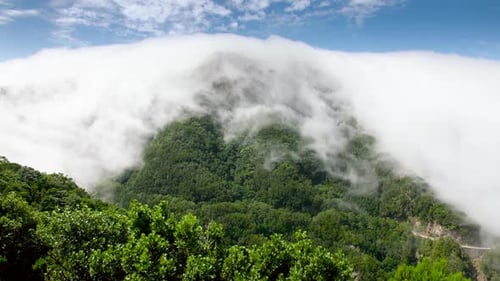 Video of Clouds Flying and Flowing From High Mountain Peak Overgrown with Jungle Forest. Perfect