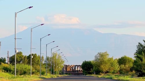 Zvartnots avec fond de montagne Ararat