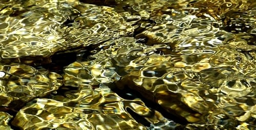 Río dorado 2