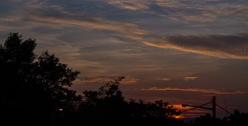Beautiful Rural Sunrise with Silhouetted Trees