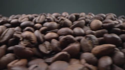 Roasted Coffee Beans Close Up with Dolly Movement