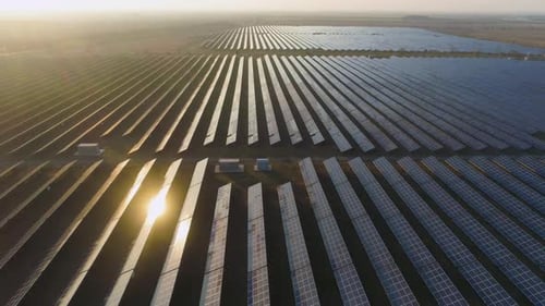 Large Field of Blue Photovoltaic Solar Panels at Sunset. Sunlight Reflection. Aerial View