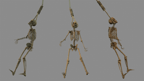 Animated Skeletons Hanging by Nooses