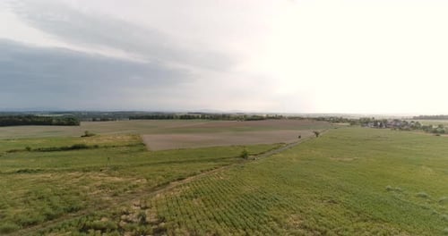 Vista aérea de campos agrícolas y bosques