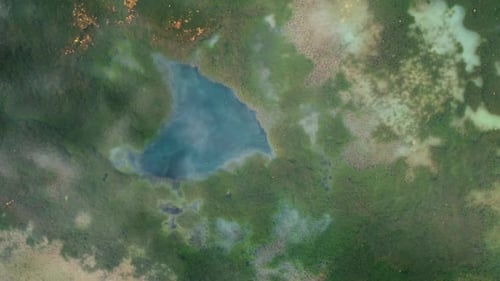 Lac couvert d'algues colorées