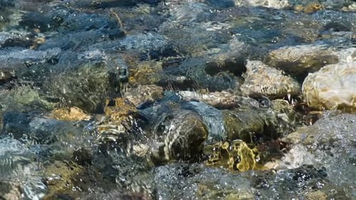 Flow of Water on the River