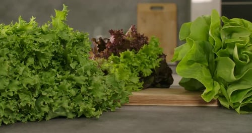 Healthy and Fresh Salad