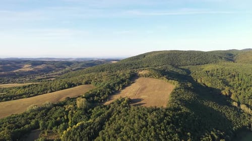 Bosque y colinas