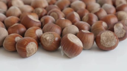 Tilting over Corylus avellana nuts close-up 4K 2160p 30fps UltraHD footage - Organic hazelnuts on w