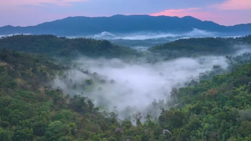 Aerial view Beautiful of morning scenery Golden light sunrise.