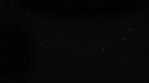 Dust Particle