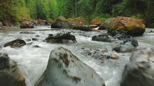 Beautiful Mountain River in Green Forest Drone Flying Low Backwards Aerial