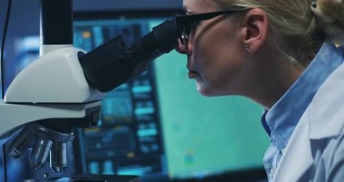 Scientist Examining Bacteria with Microscope