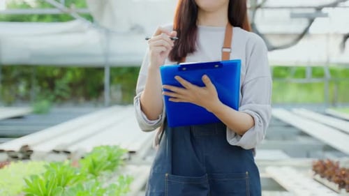 Asian young beautiful woman farmer work in vegetables hydroponic farm.