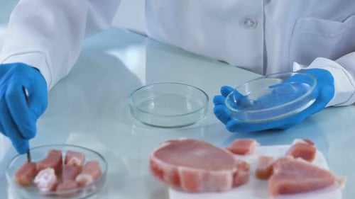 Scientist Testing Meat Quality in a Sterile Lab
