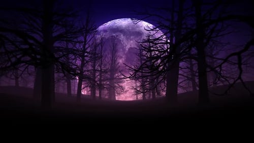 Full Moon Night In Forest Halloween Background 01 HD