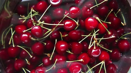 Cerises dans un bol d'eau