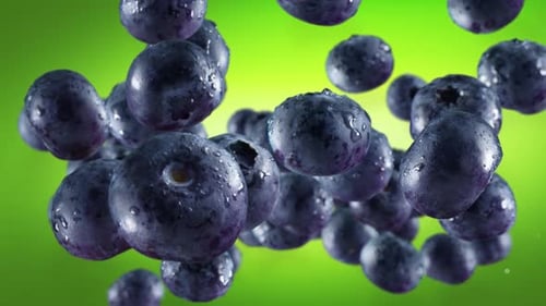 Flying of Blueberries in Green Background