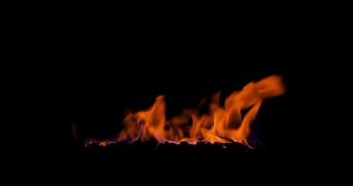 Verbrennen von Kohle im Feuer. Nahaufnahme des Flammeneffekts isoliert auf schwarzem Hintergrund