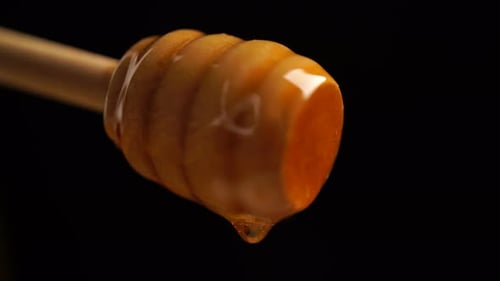 Honey Dripping From a Wooden Honey Dipper