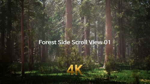 Forest Side Scroll View 4K 01