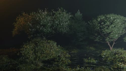Paysage De Nuit Par Le Ruisseau Dans La Forêt Tropicale - Beau Paysage Dans La Forêt