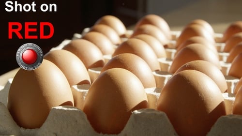 Close-Up of Fresh Brown Eggs in Carton