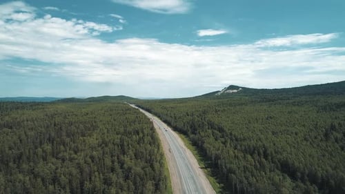 Luftaufnahme eines Intercity-Highway mit Verkehr durch einen grünen Kiefernwald bei strahlendem Sonnenschein