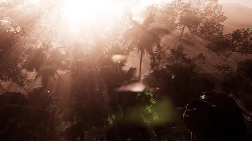 Dramatic Sunbeams Through Tropical Forest Canopy