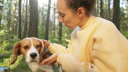 Young Cheerful Woman Petting Dog on Picnic in Forest