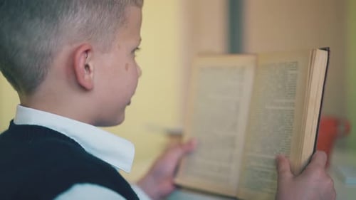 Boy Reads Book at School or Home