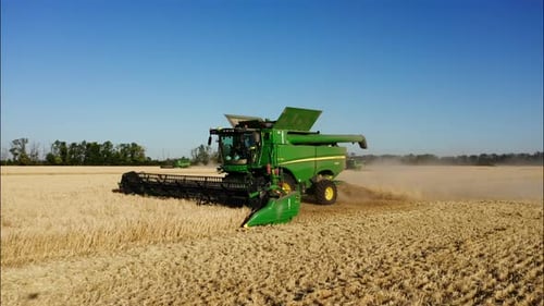 Combine Harvesting Wheat Top View of a Wheatfield