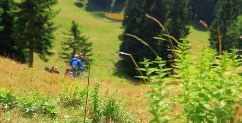 In the Green Mountains