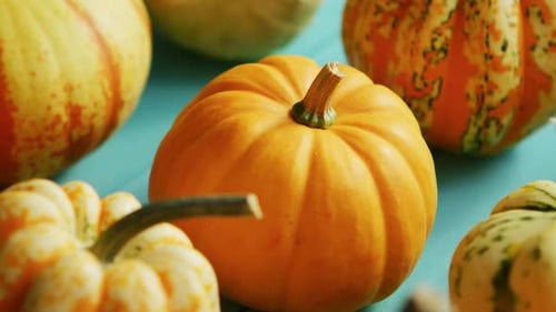 Citrouilles posées en rangée sur la table