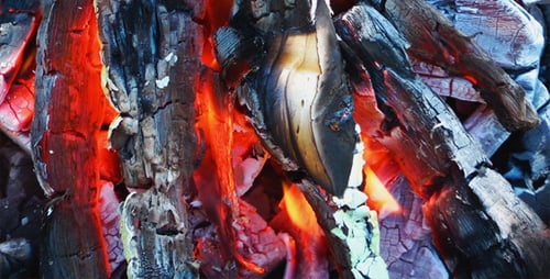 Feu de bois et de charbon 2