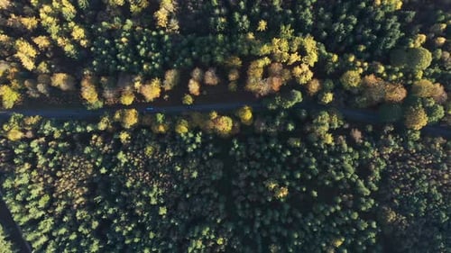 Aerial drone top down view of a countryside road through the wood