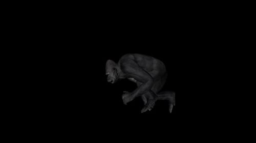 Gorilla-Lauf