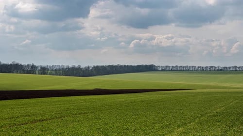 Zeitraffer mit schnell ziehenden Wolken über einem grünen Frühlingsfeld