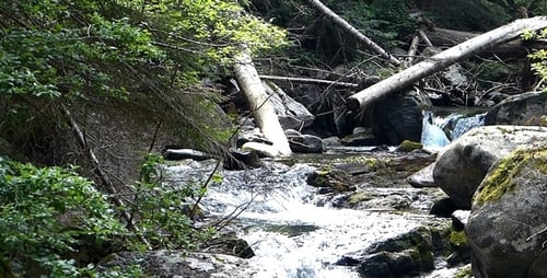 Berg Fluss 7