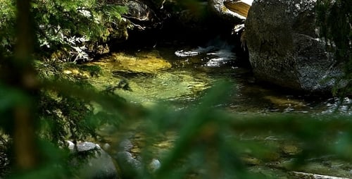 Mountain River 11