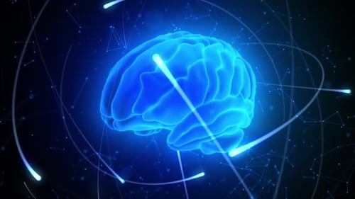 Futuristic holographic human brain in digital space