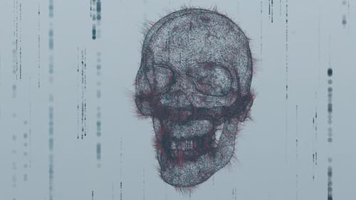 Schädel X-Ray