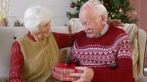 Loving Senior Couple Exchanging Christmas Gift
