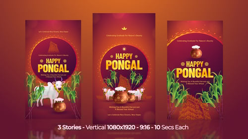 Happy Pongal Instagram Stories