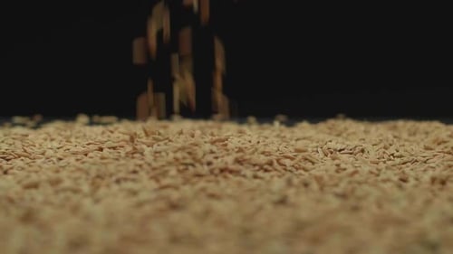 Rice Grains Falling on Pile, Close-up Shot