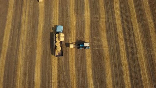 Tractor Harvesting Hay Bales in Rural Farm Field